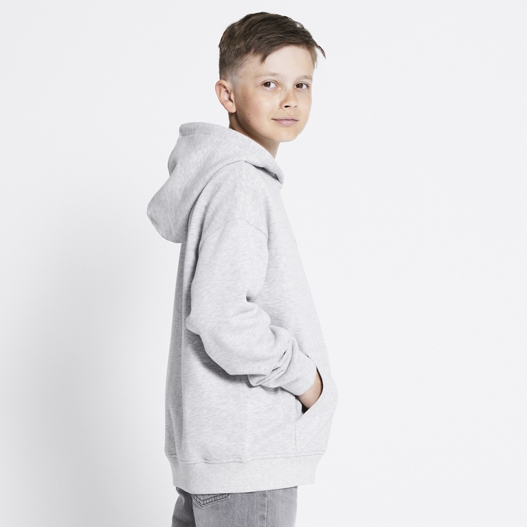 Printed hoodie "Jordon" Grey melange 6